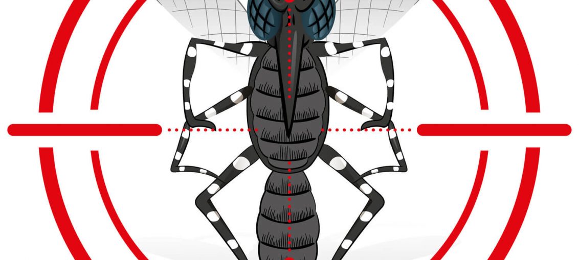 sintomas da dengue