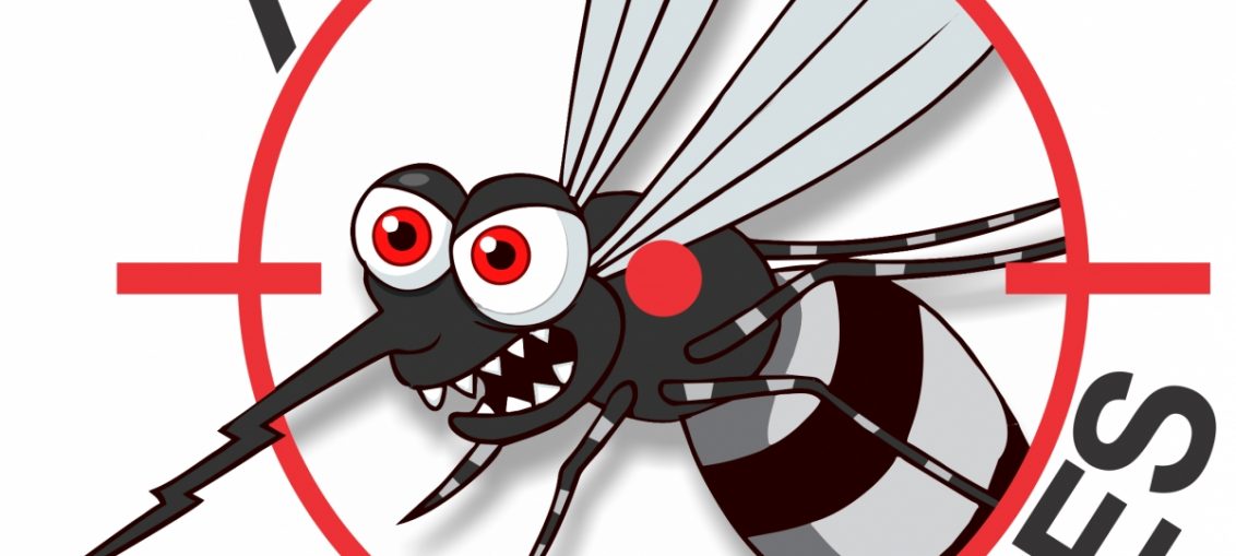 Mosquitos Transgênicos para Combater o Aedes