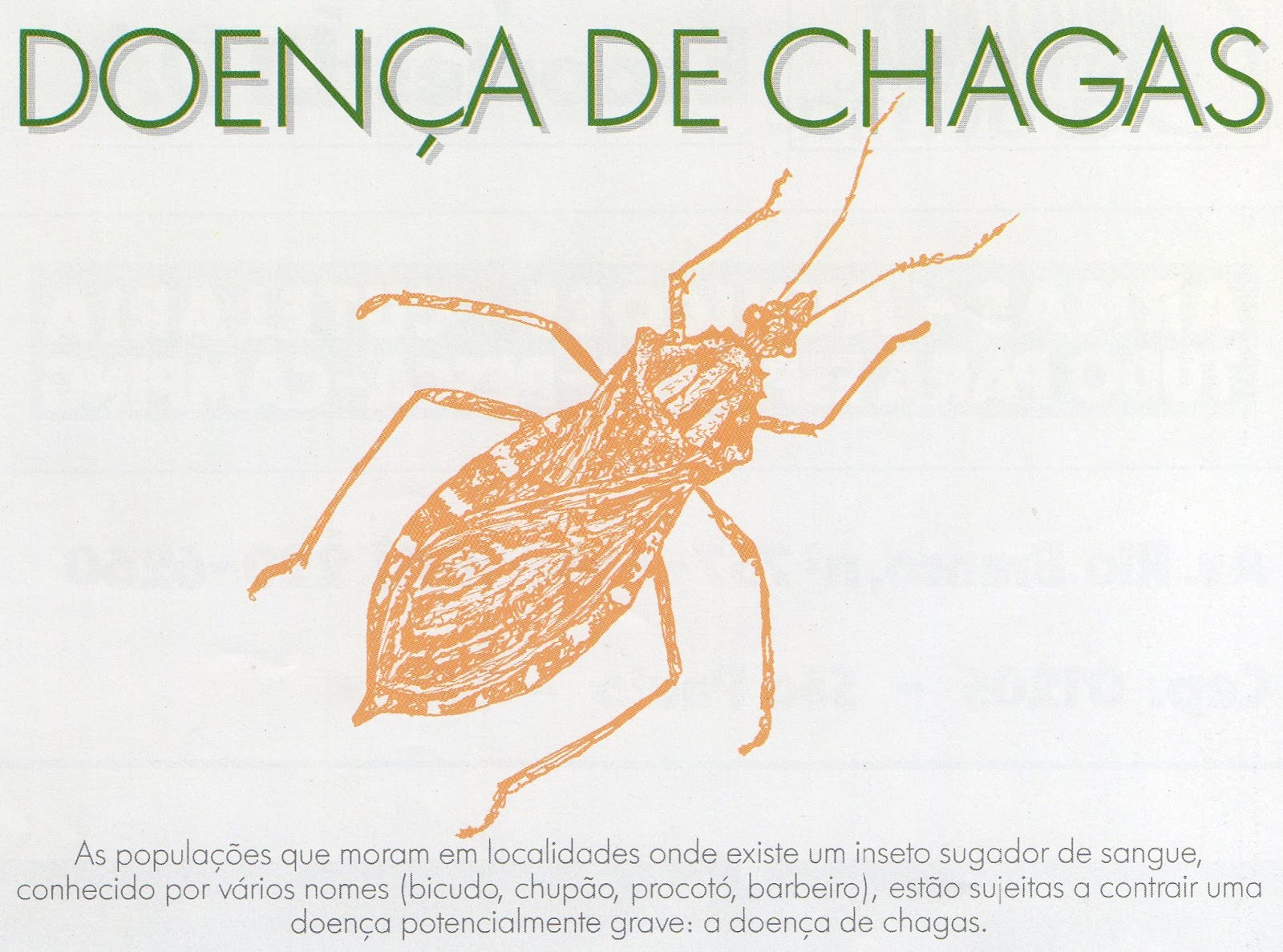 Doença de Chagas: saiba mais