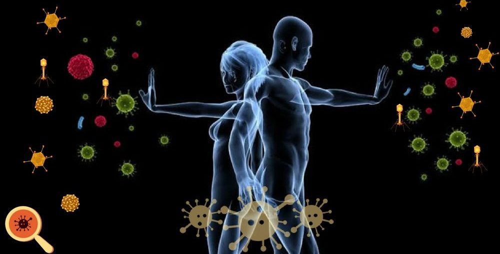 Sistema imunológico: Como ele funciona? | Dra. Keilla Freitas