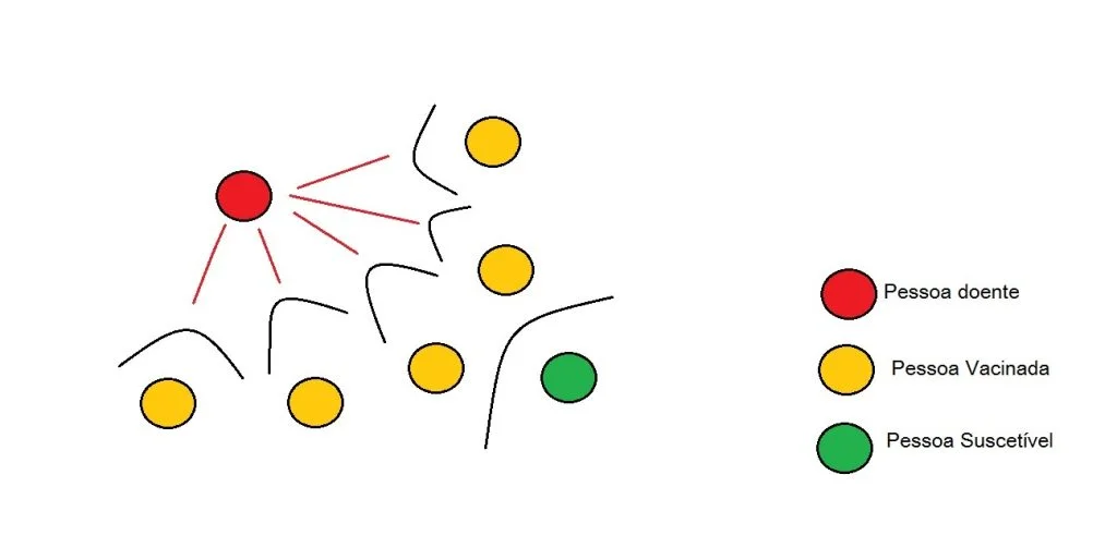 rebanho 1