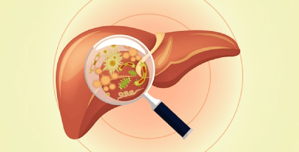 Janela imunológica das hepatites virais