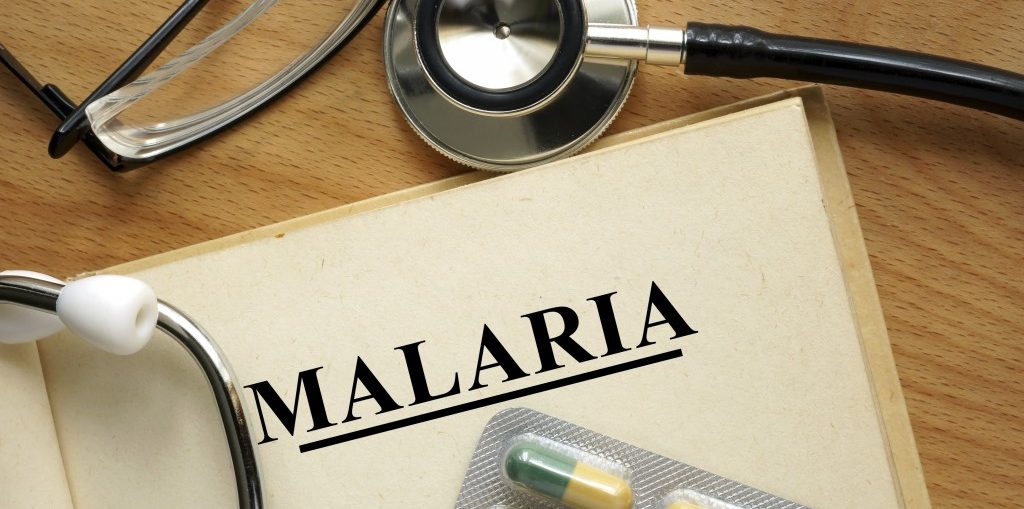 Infectologista - Como realizar a prevenção contra a Malária ? Infectologista - Como realizar a prevenção contra a Malária ?