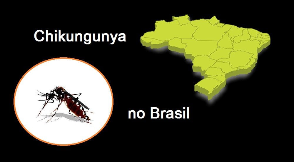 Chikungunya no Brasil: as vítimas seguem aumentando