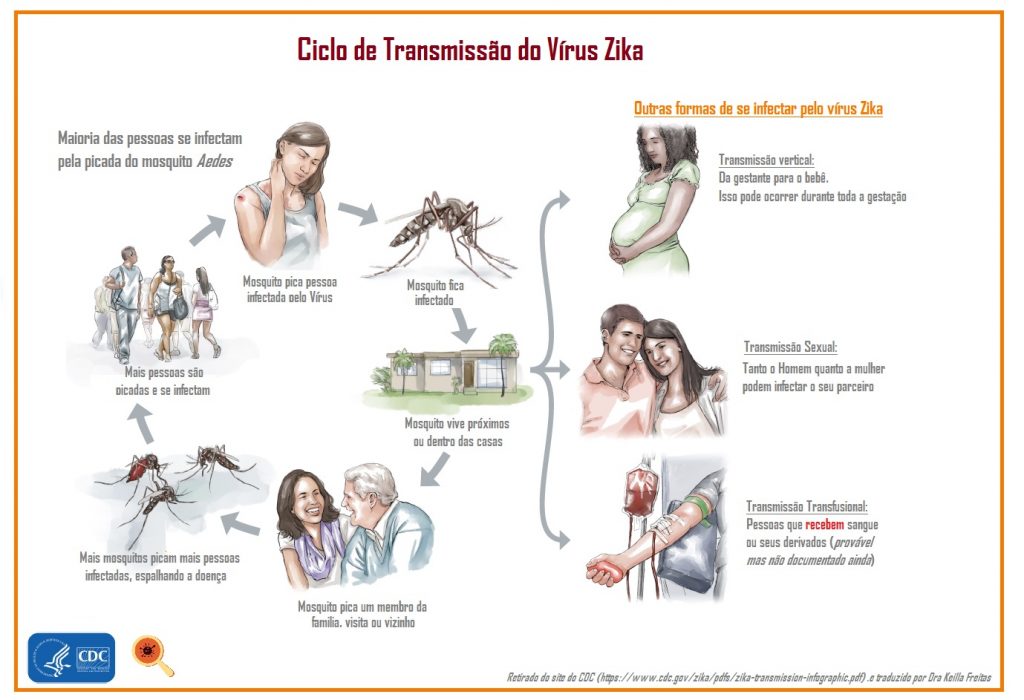 Saiba Mais sobre o Zika Vírus