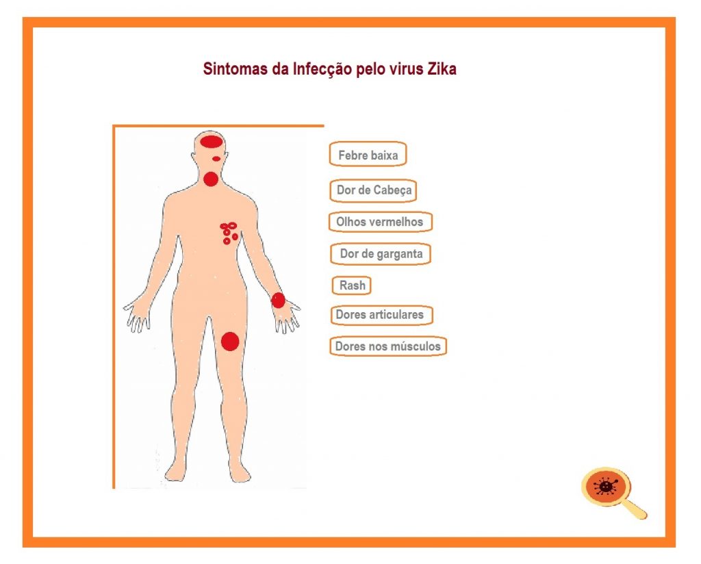 Saiba Mais sobre o Zika Vírus