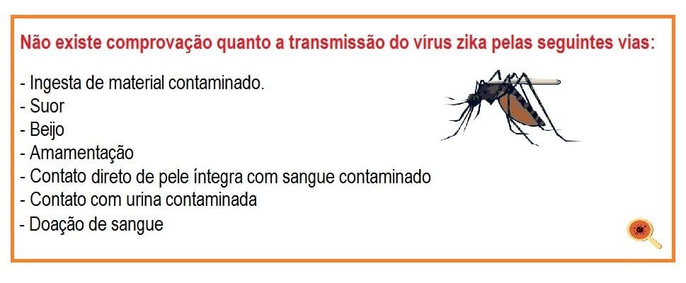 Saiba Mais sobre o Zika Vírus