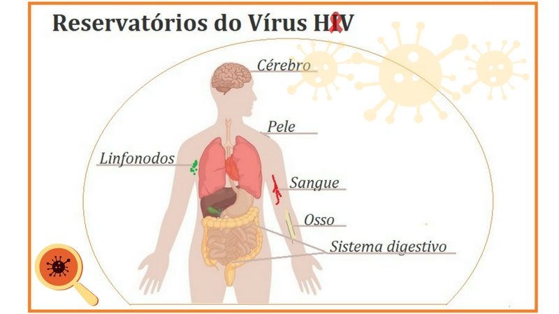 Complicações do HIV não relacionadas à AIDS