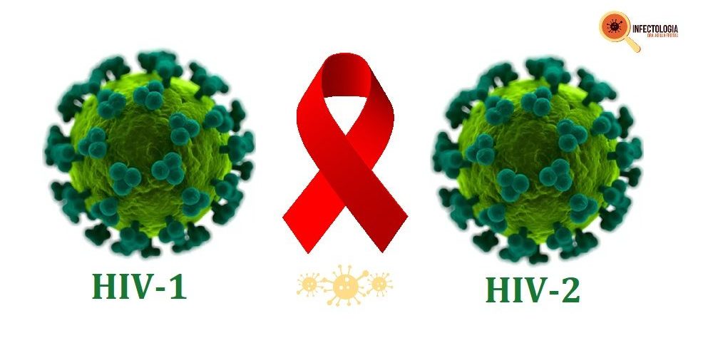 Infectologista - Tipos de HIV : Saiba Quais São