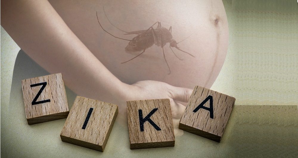 Dengue prévio nas gestantes e risco de Zika em bebês