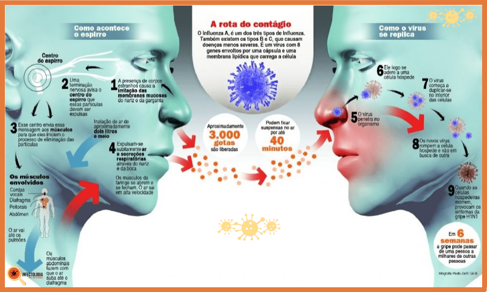 Influenza: Tudo o que Você Precisa Saber