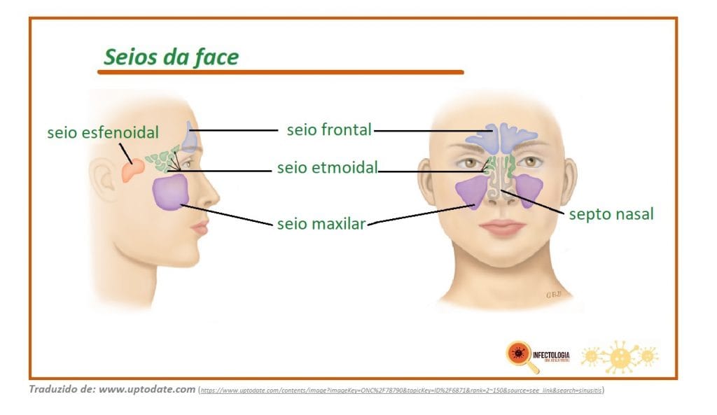 sinusite: saiba mais