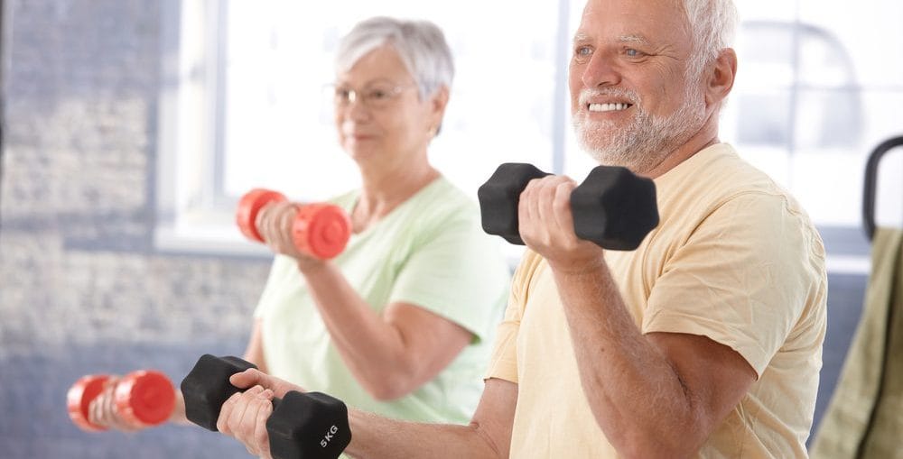 Estudo aponta suplementos que podem rejuvenecer os músculos