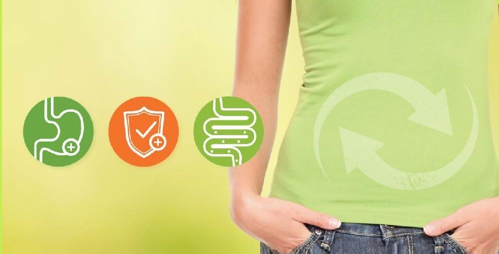Probióticos e seus efeitos no sistema imune