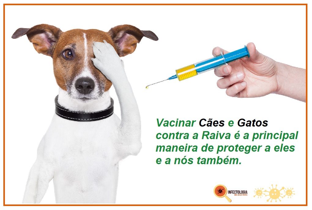 Profilaxia Contra a Raiva em Humanos