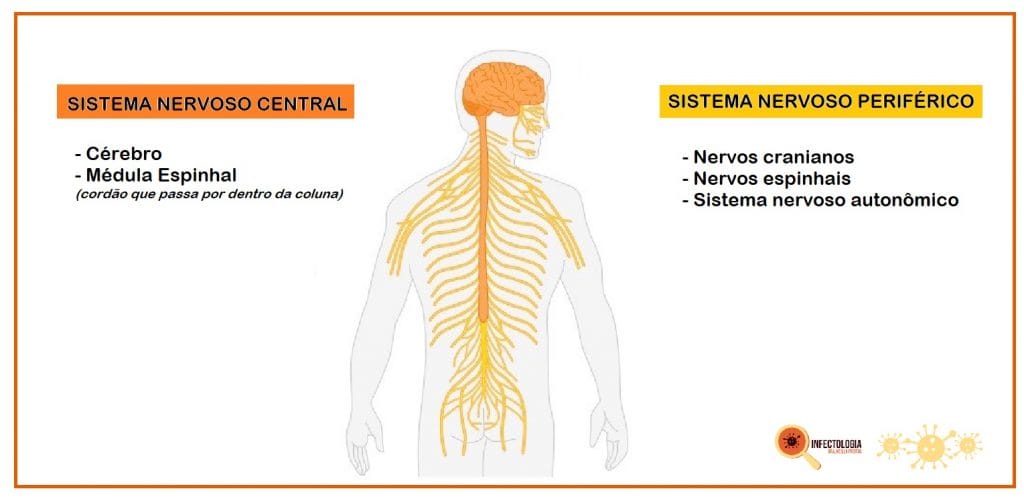 Neuropatia Relacionada ao HIV