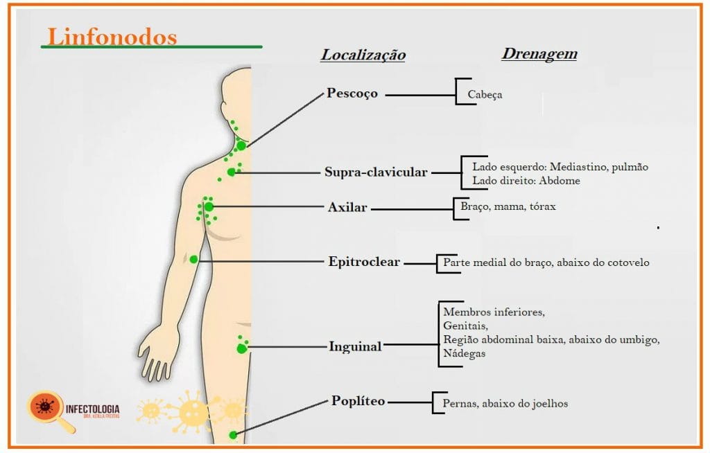 Ínguas e suas Causas - Todas as Informações que DEVE Saber