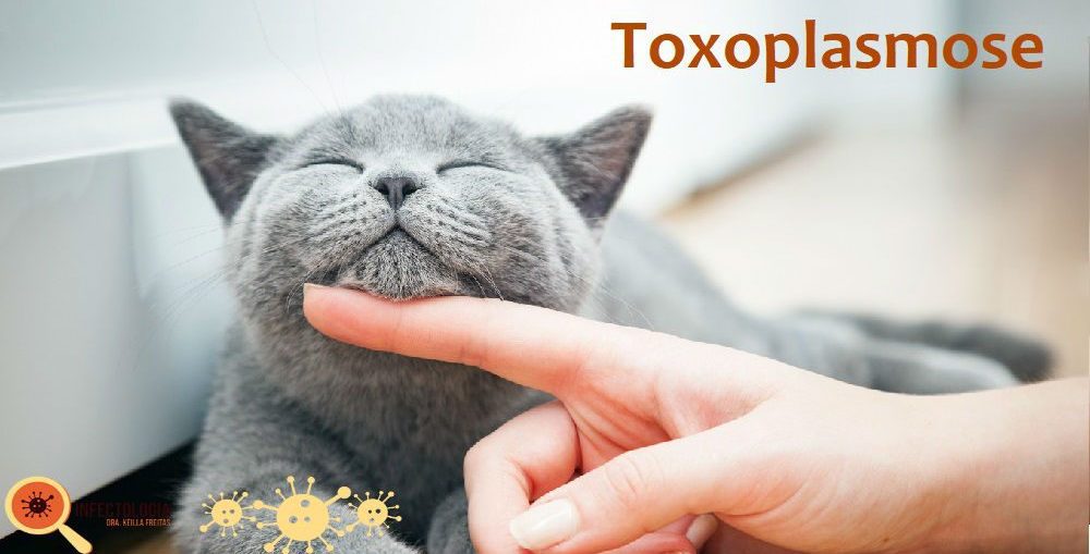 Infectologista - Toxoplasmose: saiba mais Infectologista - Toxoplasmose: saiba mais