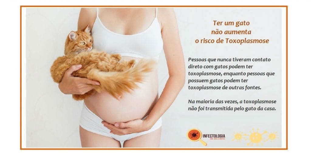 Toxoplasmose: saiba mais