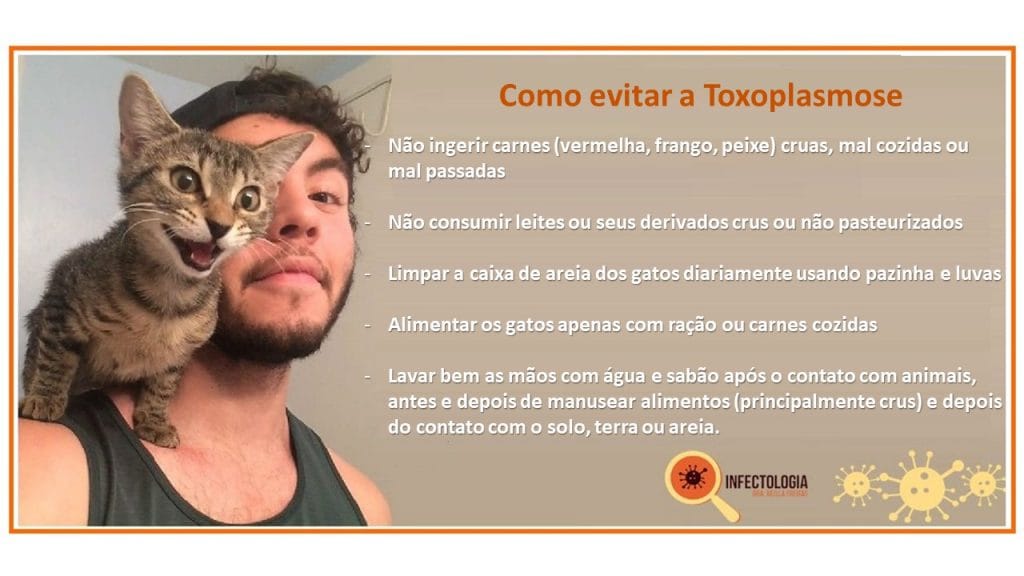 Toxoplasmose: saiba mais