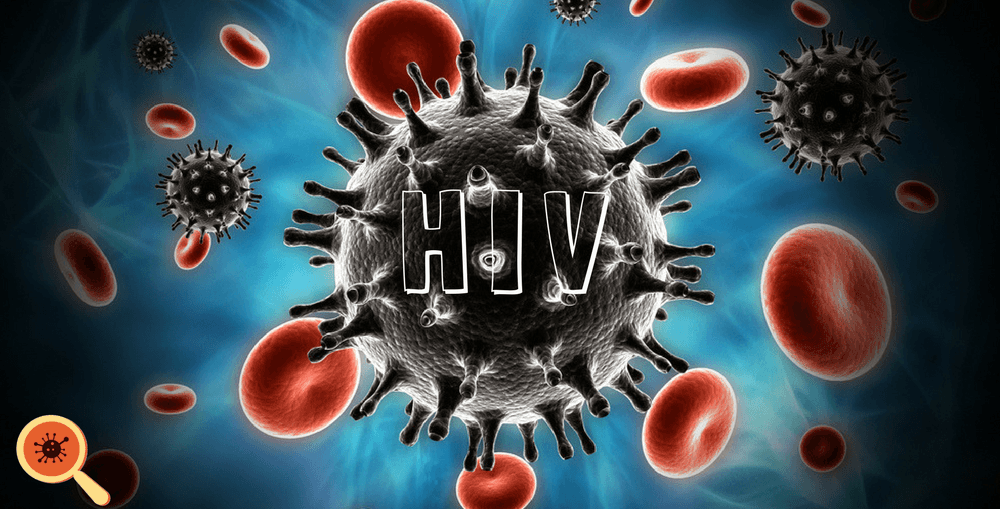 Como o vírus HIV age no organismo humano - Dra. Keilla Freitas