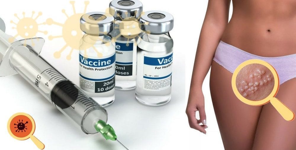 Vacina Contra O Herpes Genital Estudos Promissores Dra Keilla Freitas