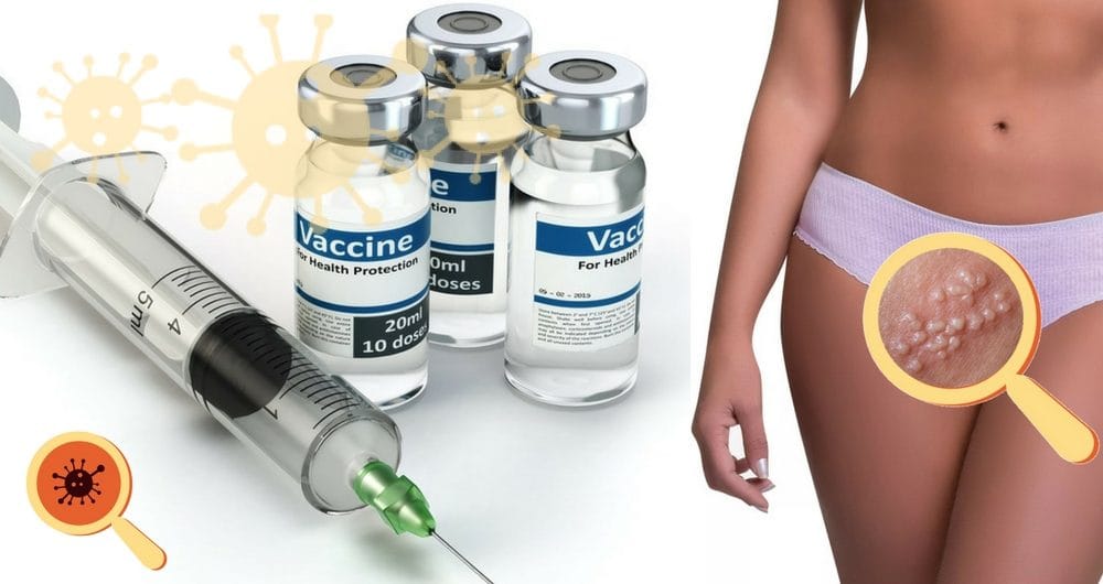 Vacina Contra O Herpes Genital Estudos Promissores Dra Keilla Freitas Vacina Contra O Herpes Genital Estudos Promissores Dra Keilla Freitas
