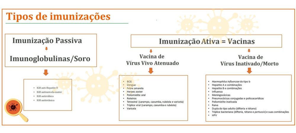 Tipos de vacinas