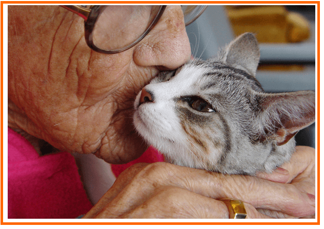 Animais em instituições de saúde