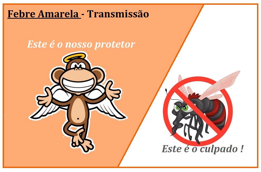 O macaco nos protege contra a Febre Amarela