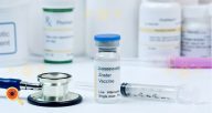 Herpes Zoster Vacina