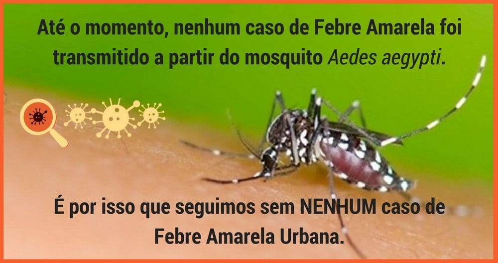 Febre Amarela - Prevenção