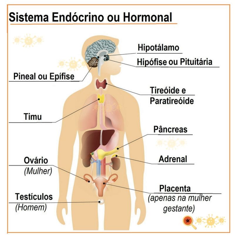 HIV e doenças hormonais