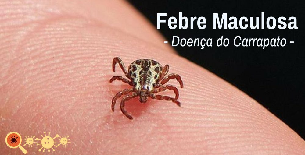 Doença do carrapato: a picada que mata rápido