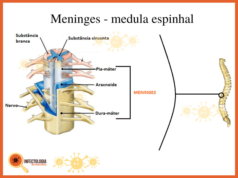 Meningite: Saiba mais