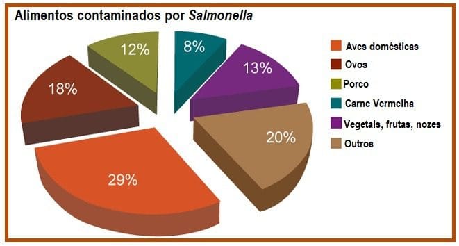 Salmonella Alimentos Contaminados