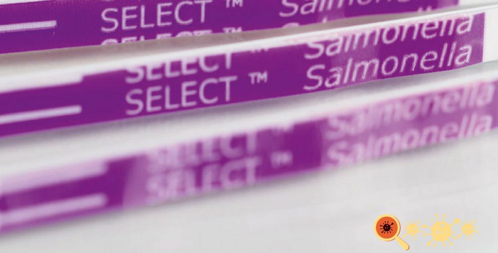 Infectologista - Saiba mais sobre a salmonella Infectologista - Saiba mais sobre a salmonella