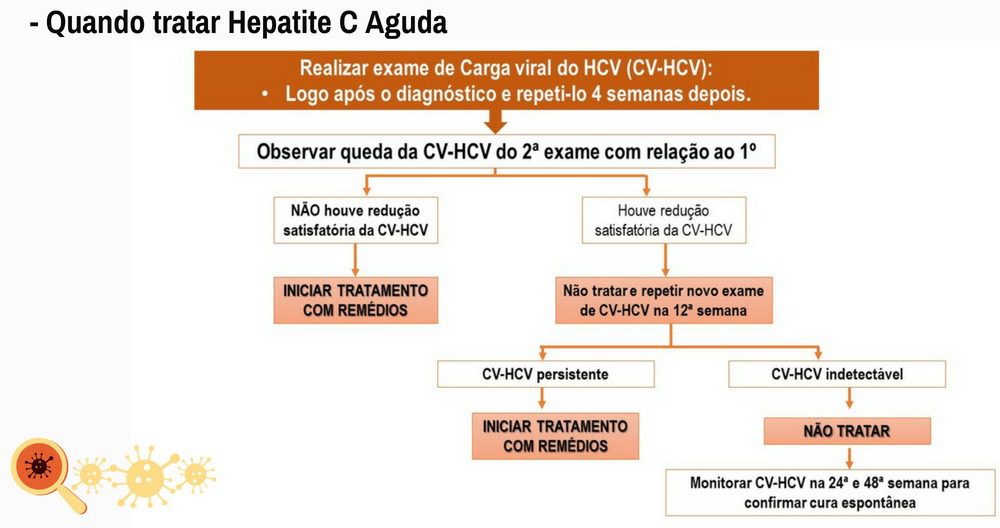 Animando-C: Anti HCV positivo não significa hepatite C crônica