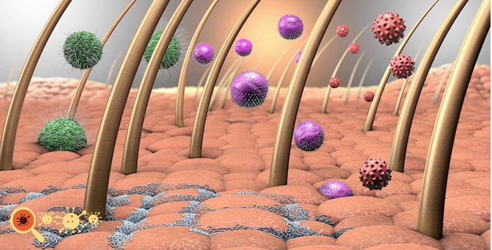 Infectologista - Como Prevenir Infecção de pele de repetição Infectologista - Como Prevenir Infecção de pele de repetição