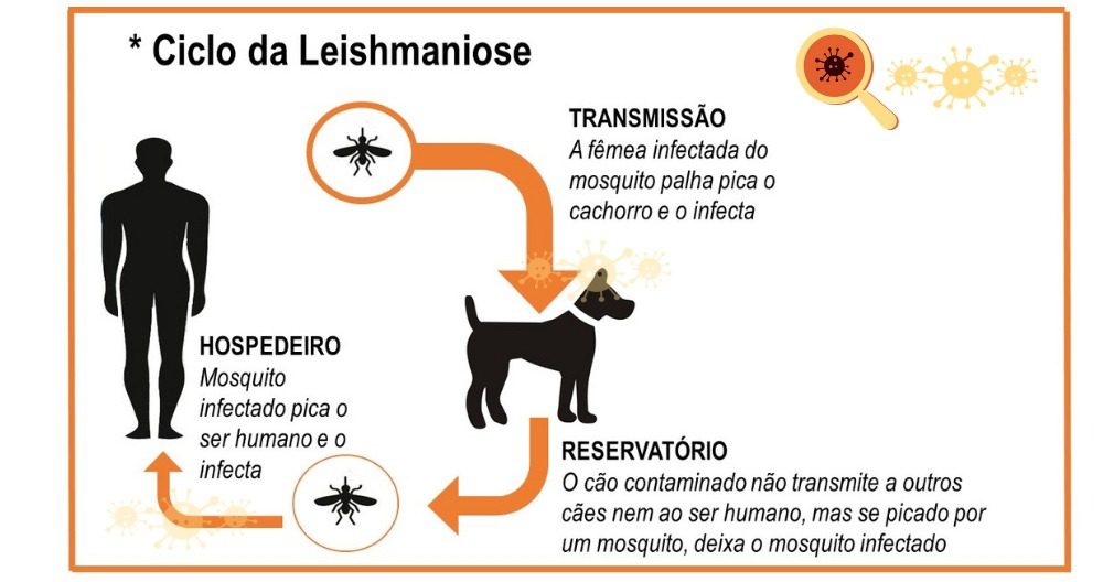 Leishmaniose Visceral