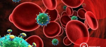 Estágios da Infecção pelo HIV