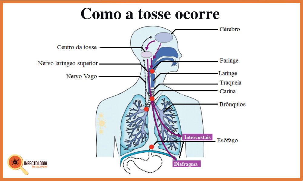 Quando a Tosse é Motivo de Preocupação?