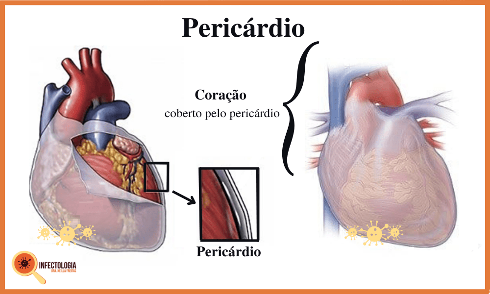 Sintomas da Tuberculose