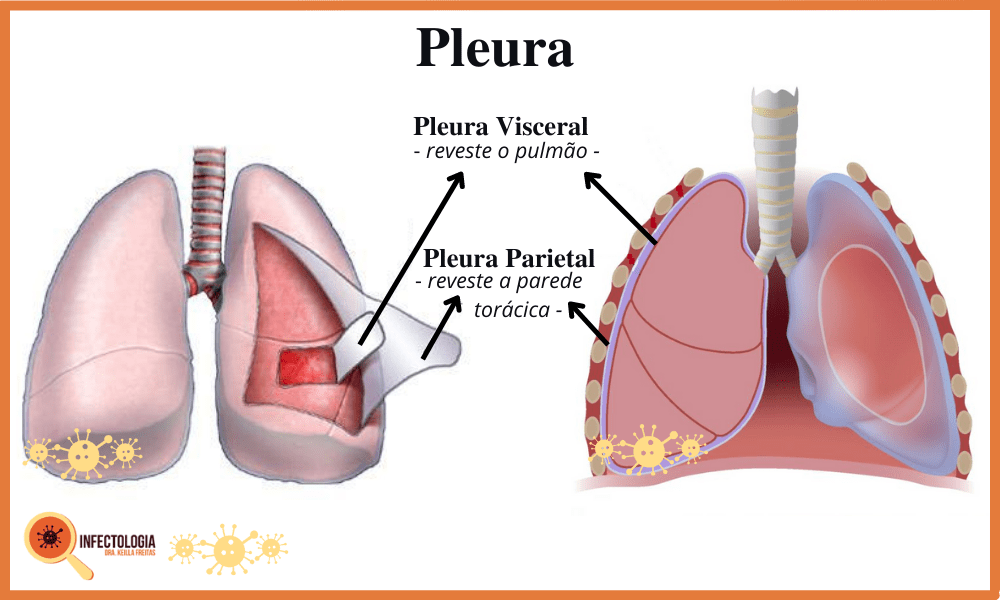 Sintomas da Tuberculose