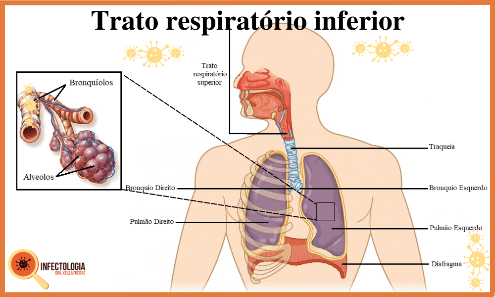 Quando a Tosse é Motivo de Preocupação?