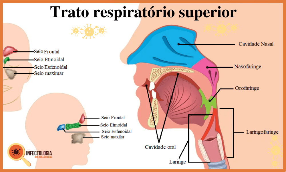 Quando a Tosse é Motivo de Preocupação?